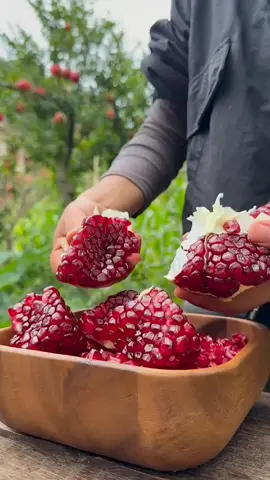 #creatorsearchinsights  Die Originalmusik der Aromatischen Obstversammlung