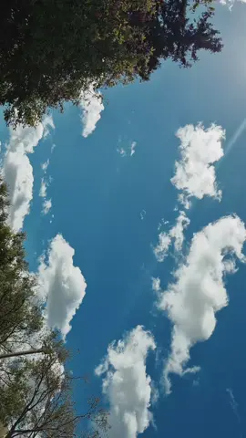 Beautiful Friday What a lovely Friday this has turned out to be. #tiktok #friday #sky #people #beautiful 