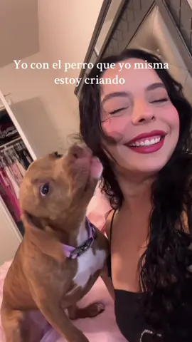 Chloe es tremenda ustedes😂😭🎀 #puppytiktok #puppylover #dogs 