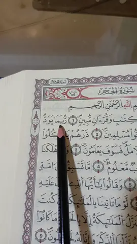 #سورة_الحجر  #الأية2 #explorepage✨  #🇩🇿🇲🇦🇹🇳🇱🇾🇱🇧🇸🇩🇮🇶🇸🇦🇯🇴🇾🇪🇸🇾🇦🇪🇸🇩🇪🇬 