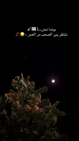 #حدثوني_عن_شعور_الفراق؟ .(!🖤.              #لافي📸 #npr1🌚 
