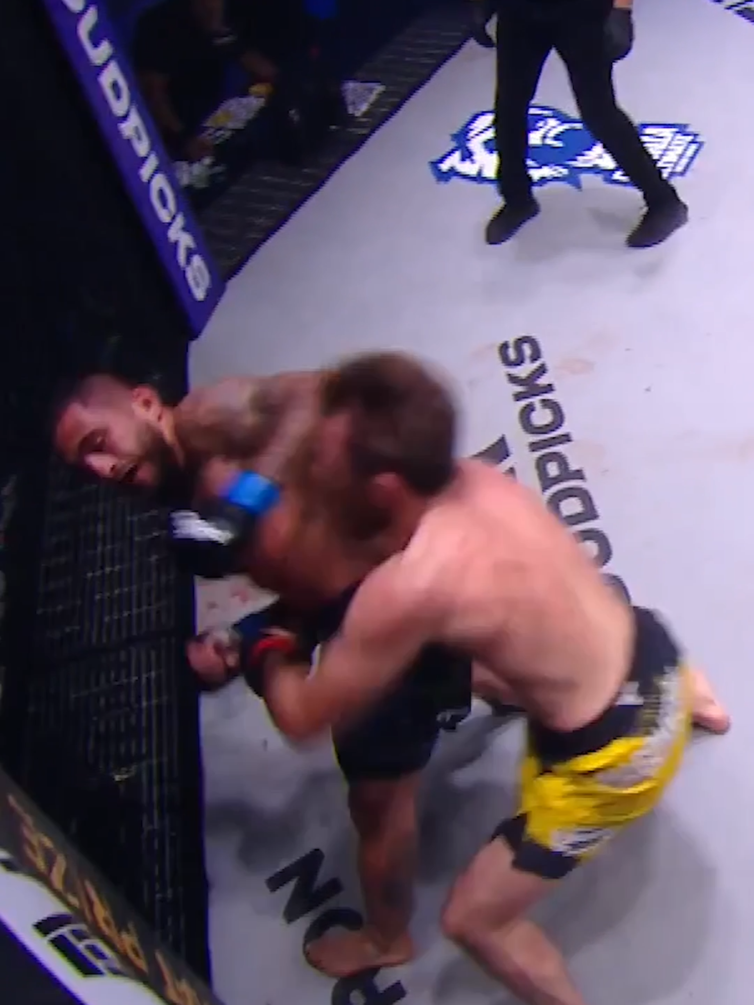 Another spinning elbow KO for Sergio Pettis 😱😱😱 #RoadToDubai #PFL #sports #MMA #Fighter #highlight #ko #knockout