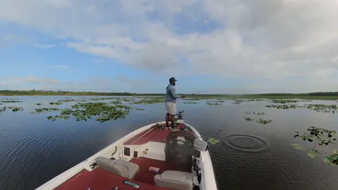 KVD spinner bait for the win on a windy cloudy day 😎🔥 #fy #Fyp #fishingtiktok #fishing #bassfishing 