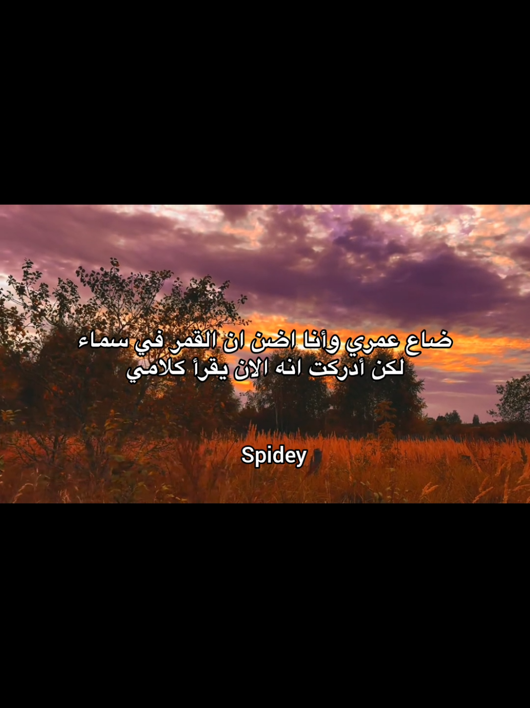 #spidey  #foryoupage 