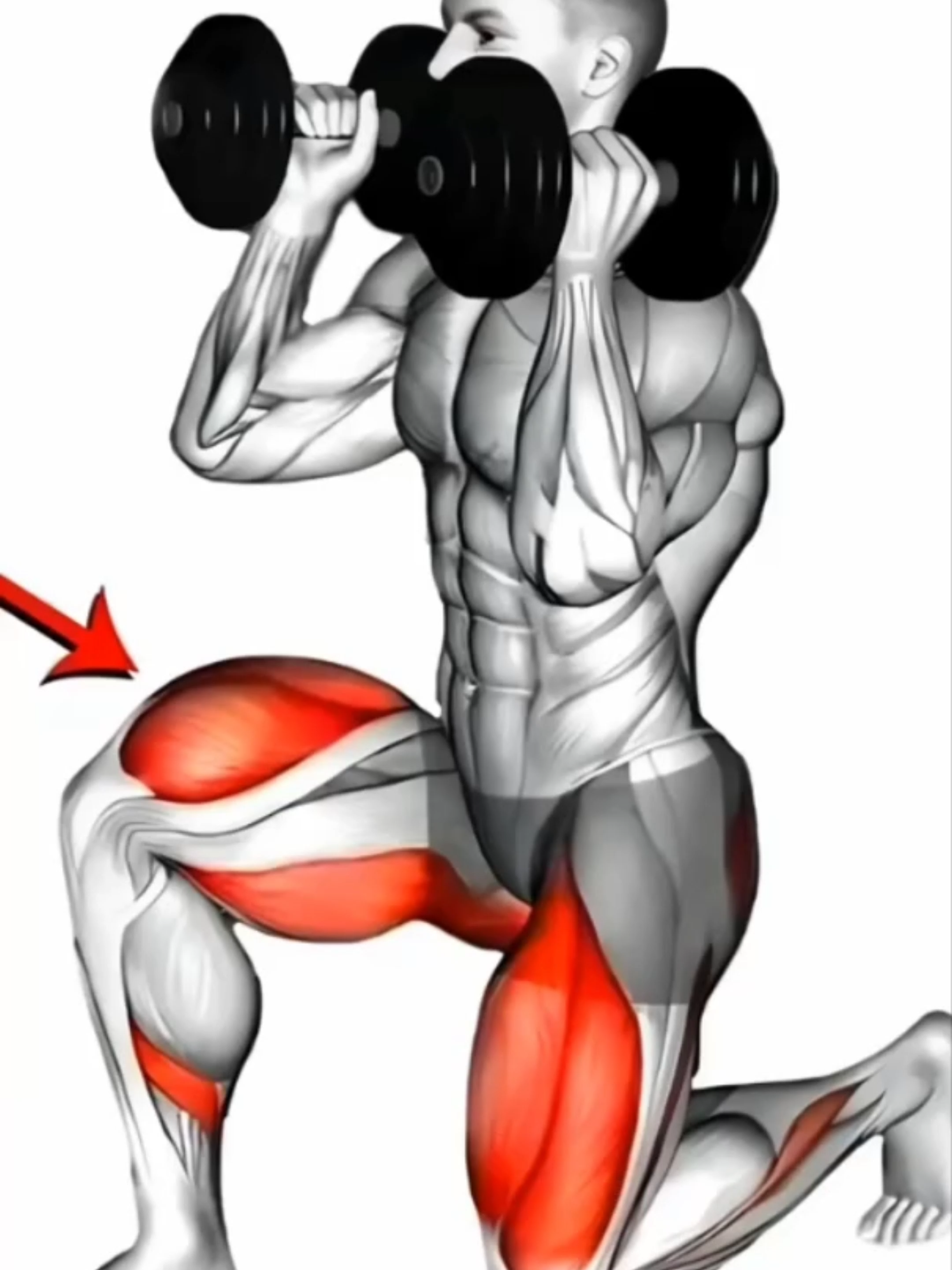 How to get a bigger leg?🔥 #muscle #sports #exercise #homeworkout #Fitness #workout #fit #gym #leg #legworkout