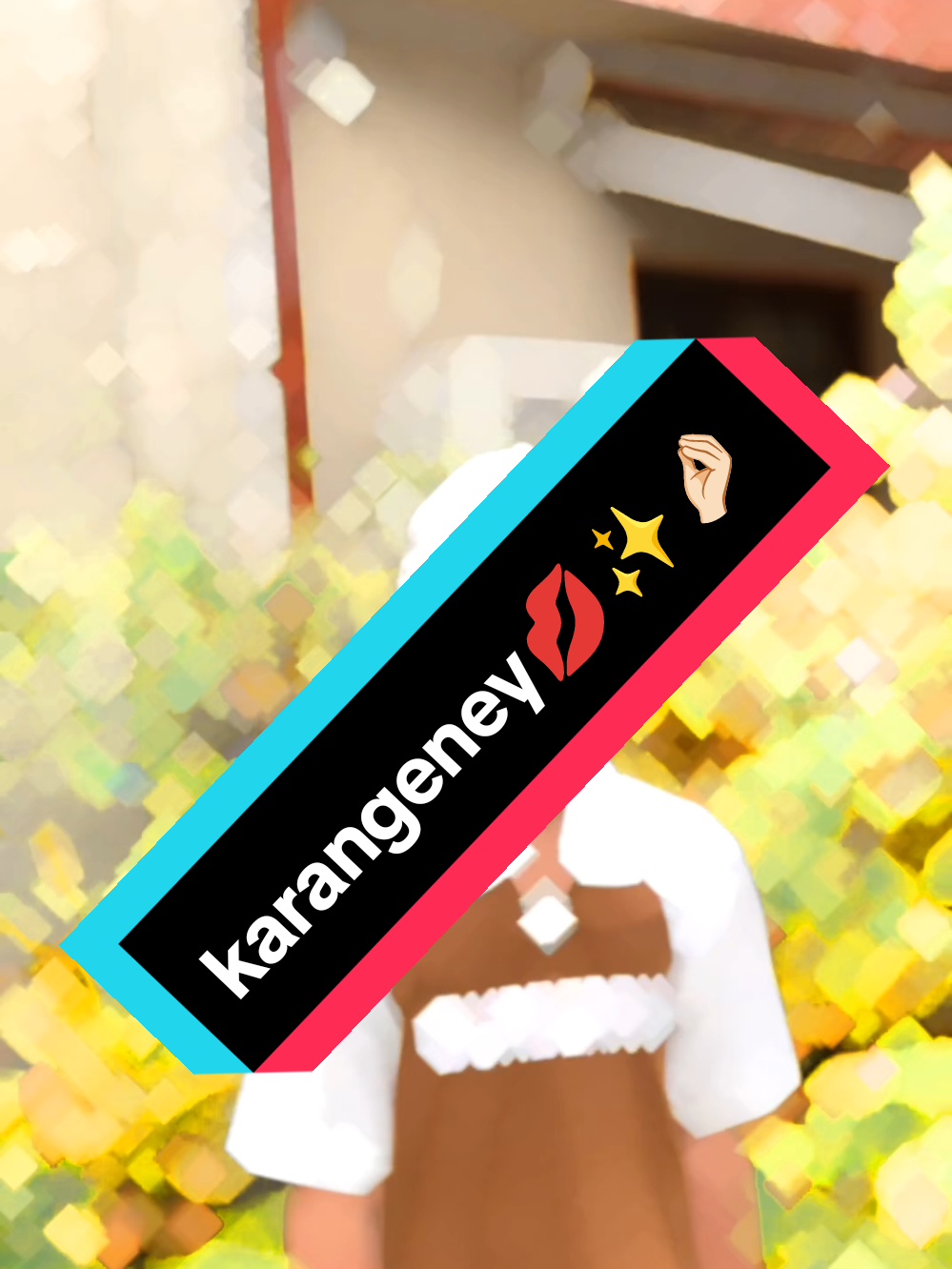 karangeneyy🤌🏻💋..#goviral #kariya👑😌 #500klikes #famous #100kviwes  dematagoda API 😌👑😌