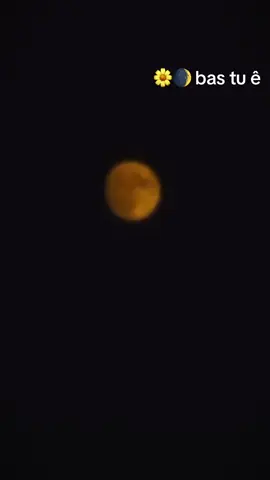 #foryou #روج #فولو🙏🏻لايك❤️اكسبلور🙏🏻🌹💫 #لايكات 