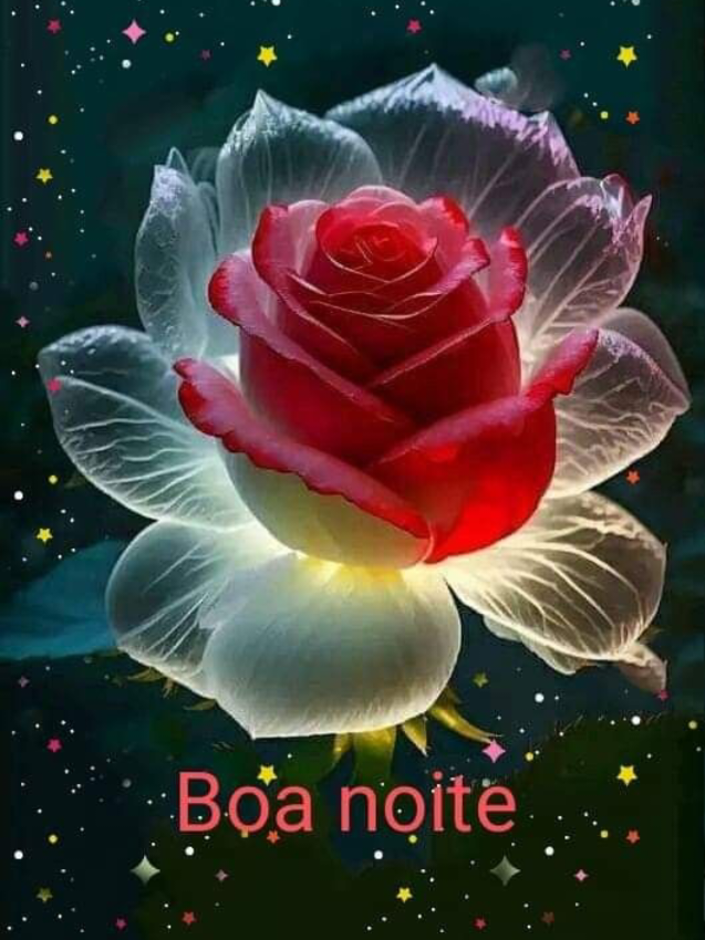 #boa #noite #frase motivação 