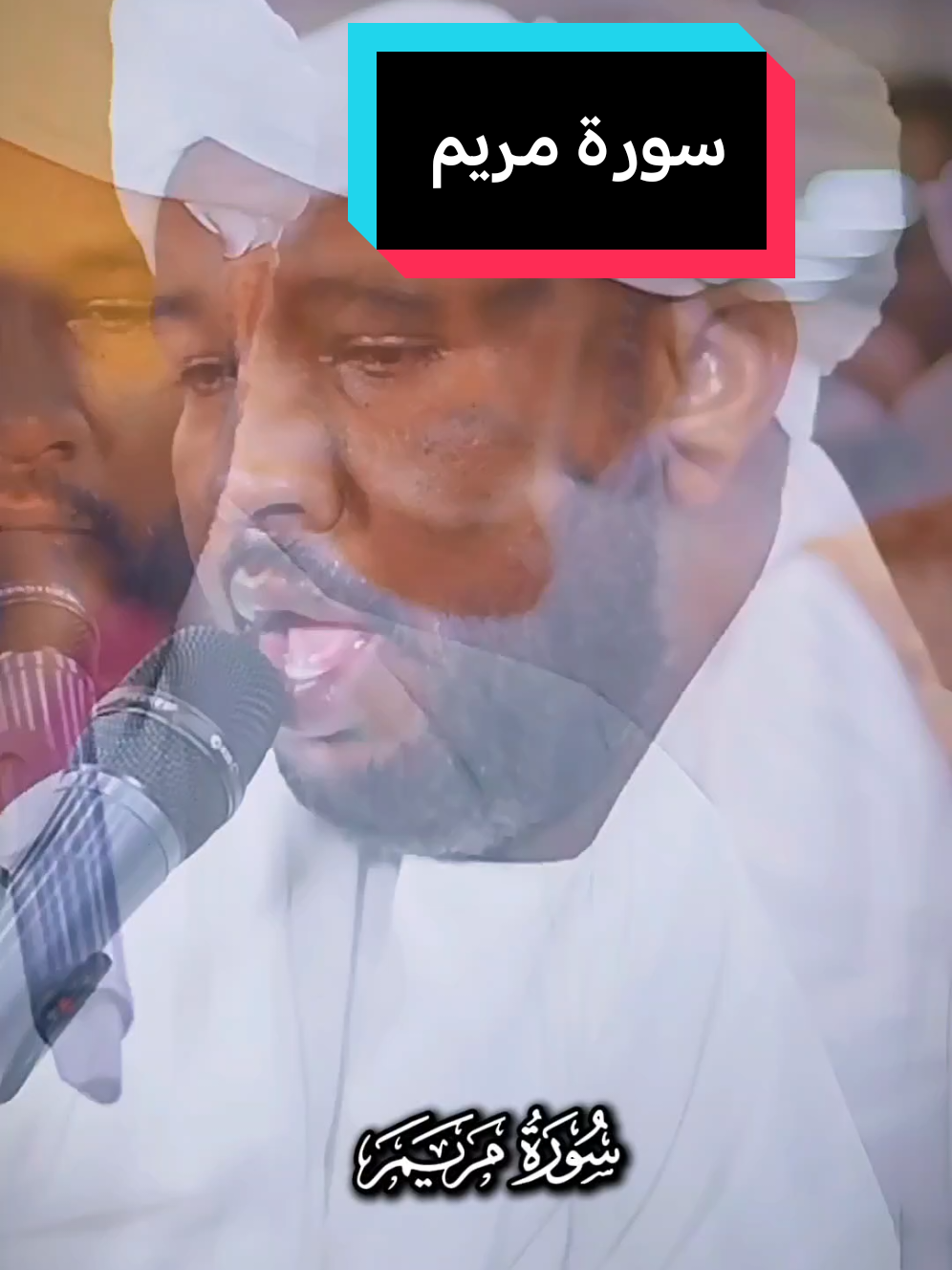 #سورة_مريم #الشيخ_الزين 