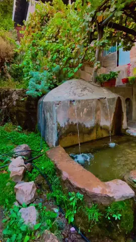 دیمەنێن ئەڤرو ژ گوندێ هرورێ دەڤەرا بەرواری بالا Dîmenên evro ji gundê hirorê devera berwari bala ----------------- #بەرواری_بالا #berwari_bala #هرورێ #hirorê #mala_hiroriyan 