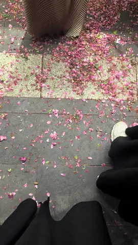 #ورد المدينة مد@ورد المدينة 🌸 