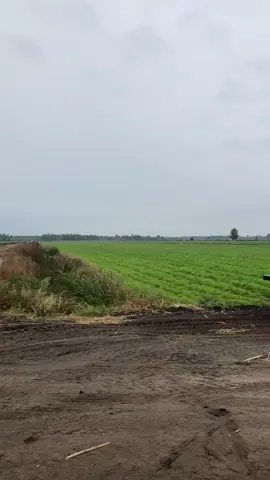 Потихоньку начинаем)