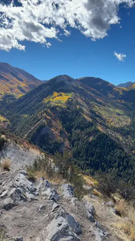 This is the last weekend fall colors are almost past peak don’t miss these amazing colors 