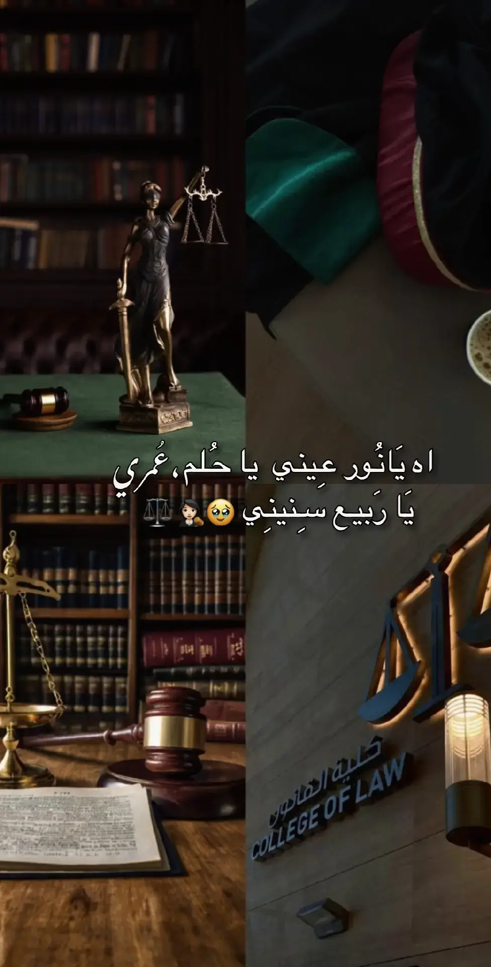 #🇱🇾 #قانون #محاماة⚖️ #اكسبلورexplore #🇱🇾 