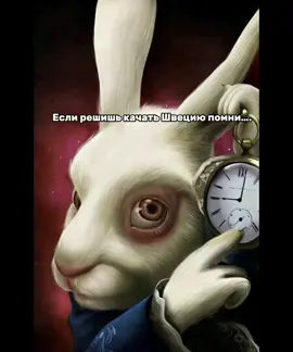 #Все дороги ведут в Рим….#швеция#вартандер#тунда#ошибка..