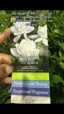 Green thumb who🪴🌹💙💙🌱🍀🍃🪴🙏🏽#plants #greenthumb #gardening 