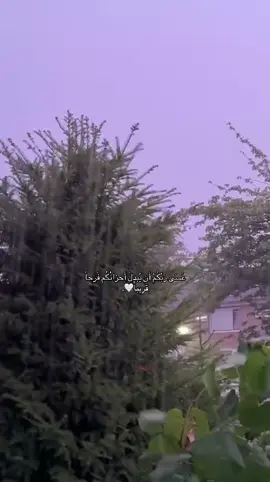 عَسَى رَبُكُمْ أَن يُبدِلَ أَحزانُكُم فَرَحاً قَرِيباً🤍 #قران #اكسبلورexplore #fyp #يارب #islamic_video 