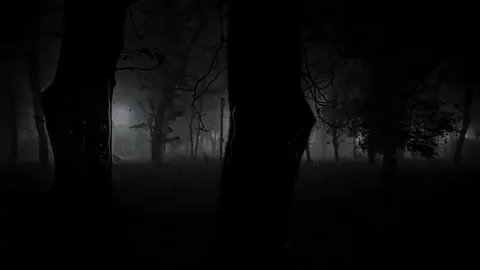 ان ربي لسميع الدعاء🤲🏻🤍 #محمد_الحيدان #قرانQuran #quran_alkarim 