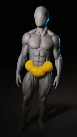 تخيل أنك جالس في مكانك وذهون بطنك تدوب بدون رياضة ولا مجهود