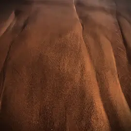 #fyp #aura #🐐👑  #senna 