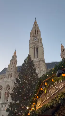A magical Christmas in Vienna✨🎄 #vienna #christmas #christmasmarket #christmasinvienna #viennachristmas      
