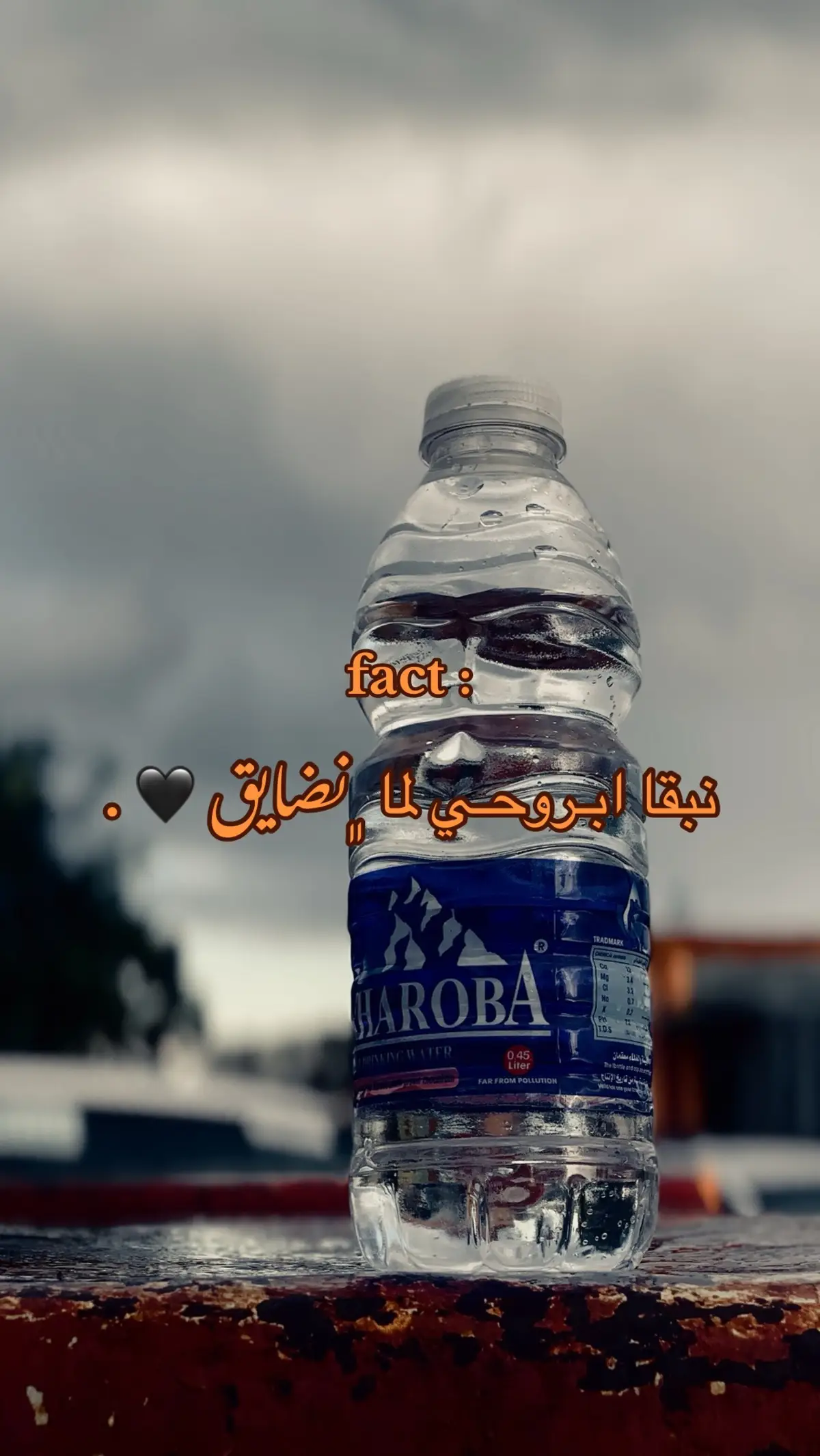 #libya #اقتباسات #like #ليبيا🇱🇾 #صور 