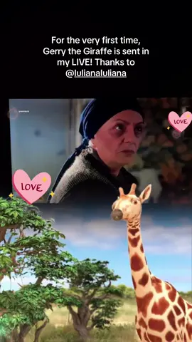 I appreciated it so much! Thank you, Iuliana Iuliana! It was the first time I saw this Gift in my LIVE.@Iuliana Iuliana #tiktoklive #livehighlights #livegift #gerrythegiraffe 