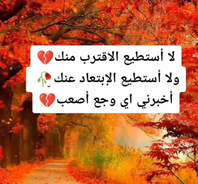 #اما #القلب فهو متعب # واما الخاطر # فهو مكسور واما الروح معادت تشتهي شئا 😔