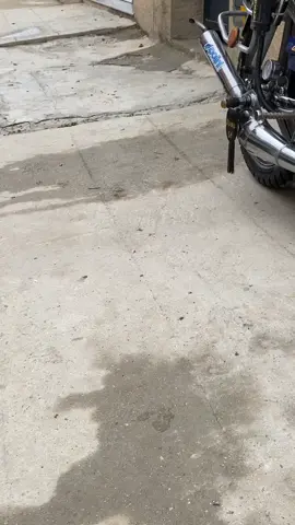 #103#شريكة الازعاج#19 💙زرقا دوريجين 🥰✅#شعب_الصيني_ماله_حل😂😂 