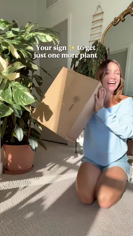 Don’t miss the plant drop for this 🪴 4” Variegated Alocasia ‘Green Dragon Scale Mint’ - link in my bio!! Plus, what are our thoughts on the new TS album?  ✨ Pest Spray from @theplantbar.co (code ‘MARIAHGROWS’)  ✨ The best planter w lots of drainage from @poweredbyrosebud (code “MARIAHGROWS”) Make sure you are following for more houseplant tips and inspo 💚🌿 Houseplants | Plant Finds | Indoor Plant Lovers