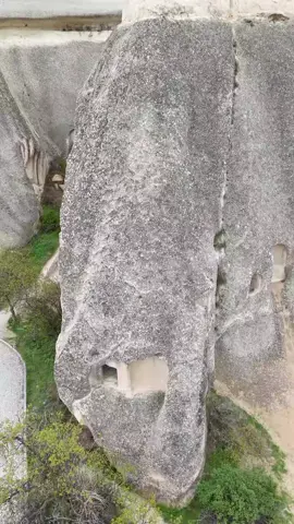 #CapCut 