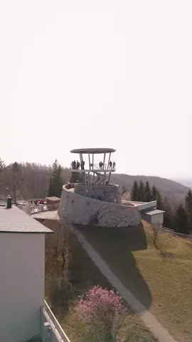 #CapCut 