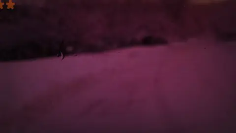 نهاونديات المنشاوي ||ما تيسر من سورة النساء القارئ الخاشع محمد صديق المنشاوي رحمه الله.  . #quran #قران_كريم #قران #المنشاوي #رمضان 