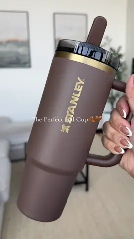 My new favorite Stanley, she’s a brown girl just like me🤎 #StanleyCup #fallaesthetic #brown #coffee @Stanley Brand 
