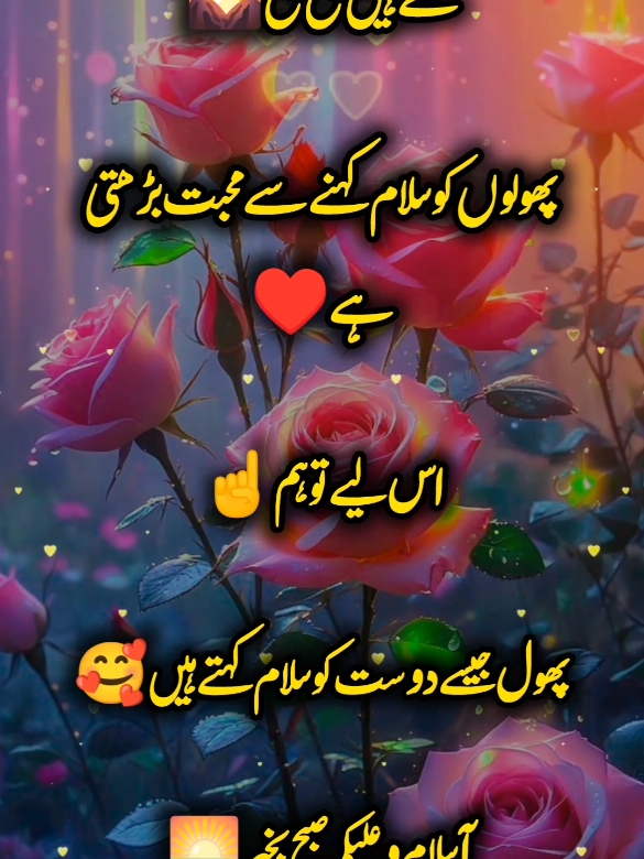 Good Morning#fyp #foryoupage #poetry #urdupoetry #500k 