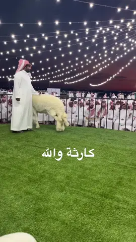 #اكسبلور     كارثه. ماشاءالله  تبارك الله 