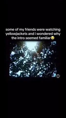 actually crazy #lpspopular #lps #yellowjackets #fyp 