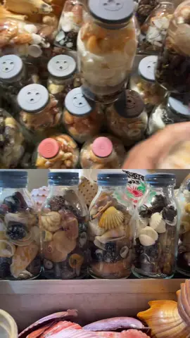 একটুকরো সমুদ্র নিতে চাইলে ইনবক্সে করোন wa.me/+8801312898279#SeaShell #ShellHeaven  🌊🩵🐚 