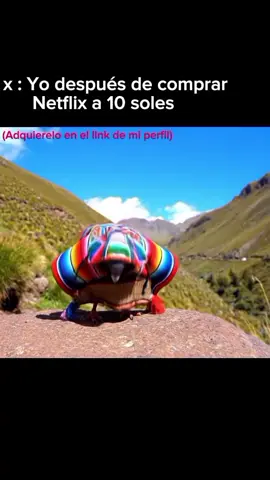 🇵🇪Peru #peru  #huayno  #pajaropajaro🗣️🗣️!?️  #pajaropajaro  #huynophonk 