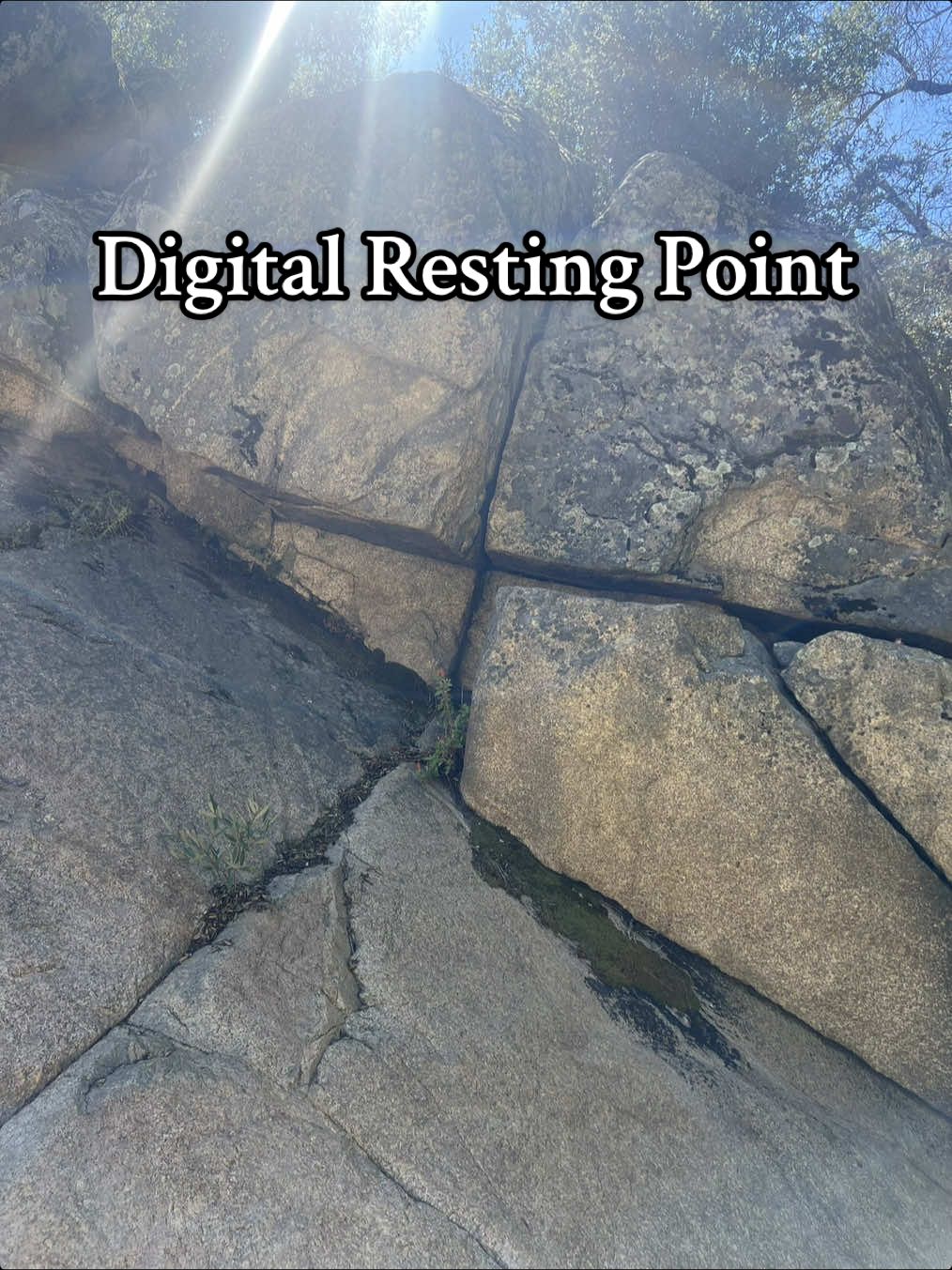 Stay as long as you need 🖤✨ Inspired by @sighswoon  #digitalrestingpoint #nature #waterfall #deathdoula #sandiego 