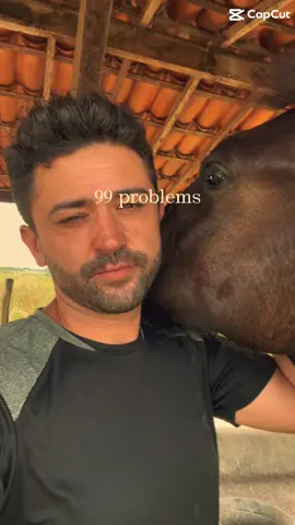 Queria que todos entendessem oque é isso, só quem tem, vai entender e sentir está paz. #paz #amor #equine #pet #tiktok 