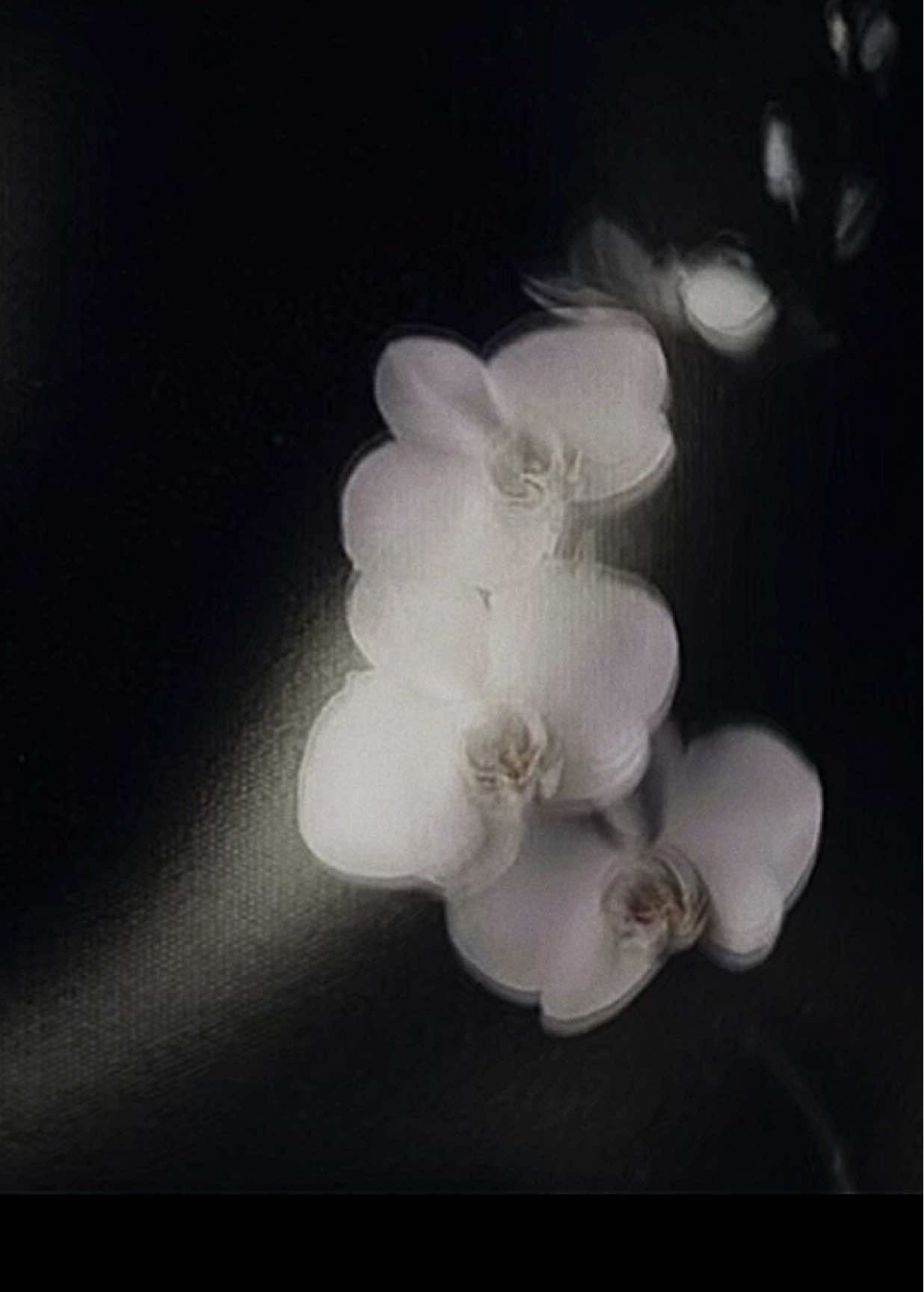 Girl of My Dreams - guti #girlofmydreams #guti #sadsong #darksong #lyrics 