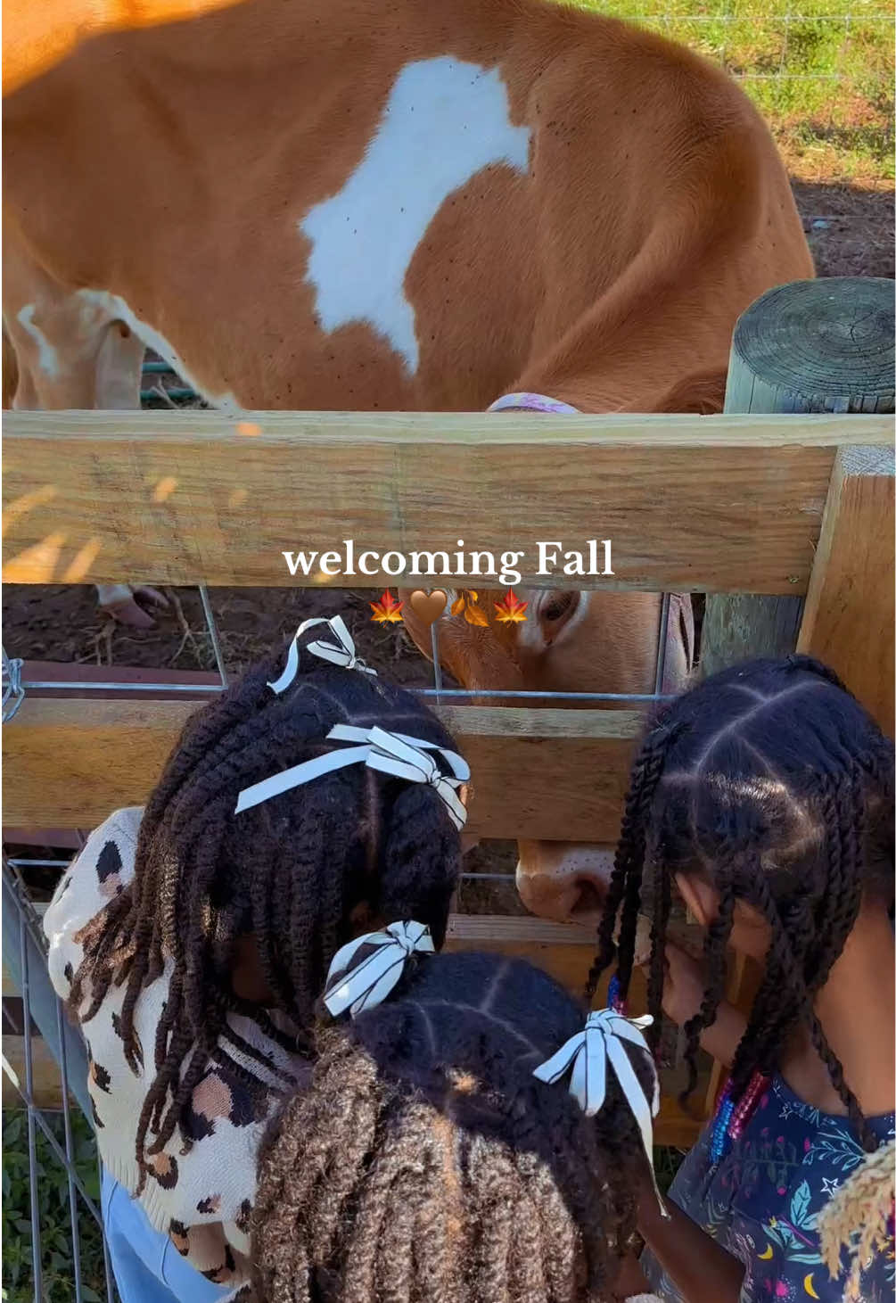 welcoming the coziest season with picking pumpkins, feeding farm animals and some good fun with the family + friends 🤎 @Alpha&Omega ✨