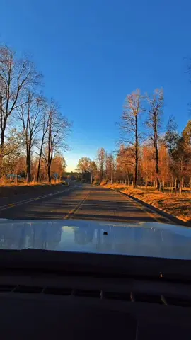 Mentiste 🎶👑 #Yandel.           #RegiónDelaAraucania #RutaConguillio-Curacautin      #DeRegresoACasa 💪🫶🇨🇱