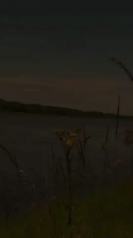 #اكسبلور #همسات #capcut #مشاهدات #دعاء 