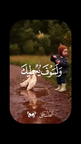 سبحانك يا رب ♥️ . #قرأن #قران #quran #الشيخ_محمود_الشحات_انور #محمود_الشحات 
