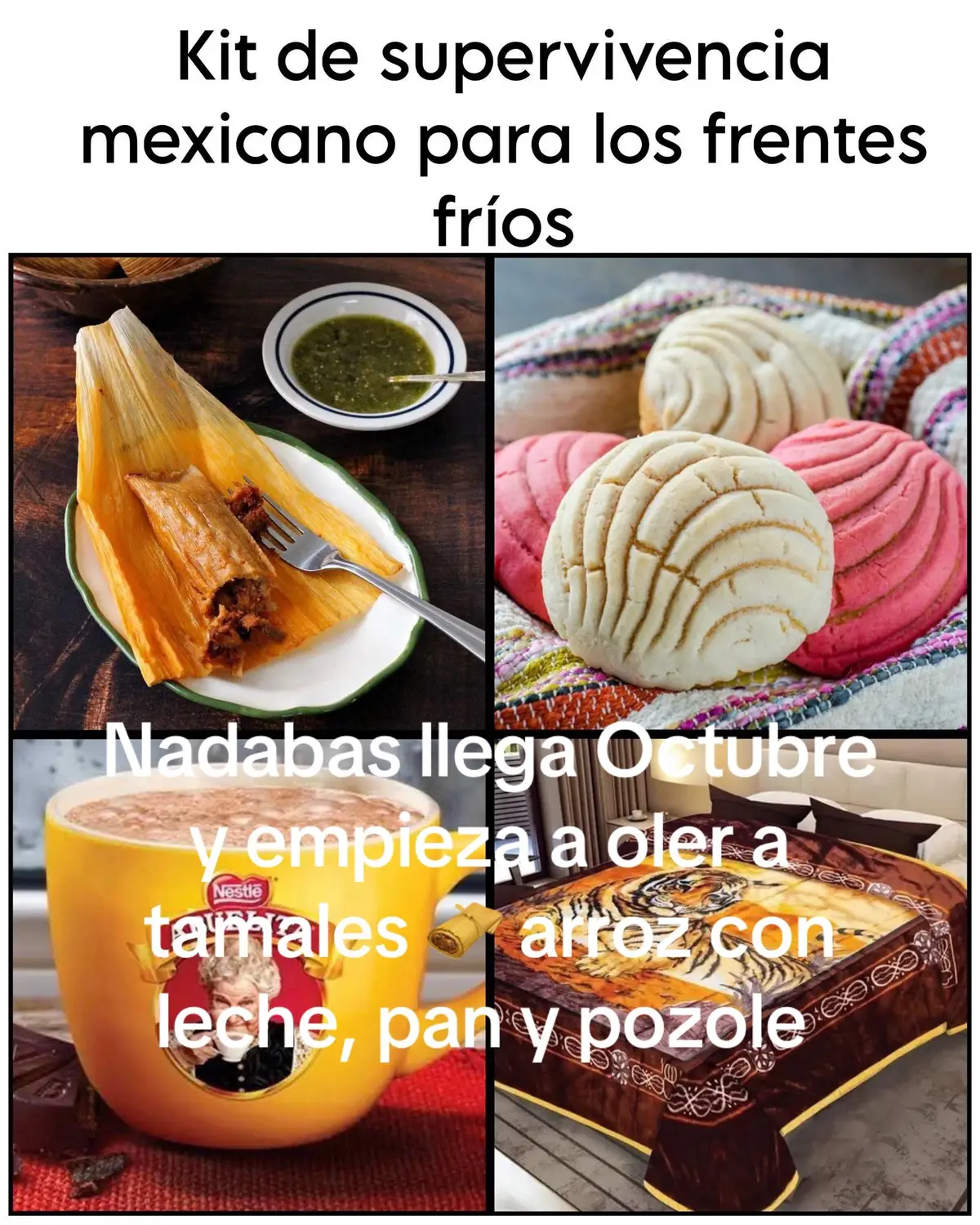 Nadamas llega Octubre y empieza a oler a Tamales, pozole,arroz con leche, pan, chocolate abuelita  #fyp #parati 