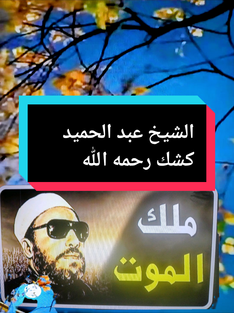 #الشيخ_كشك_رحمه_الله #حذيث #الذكريات 