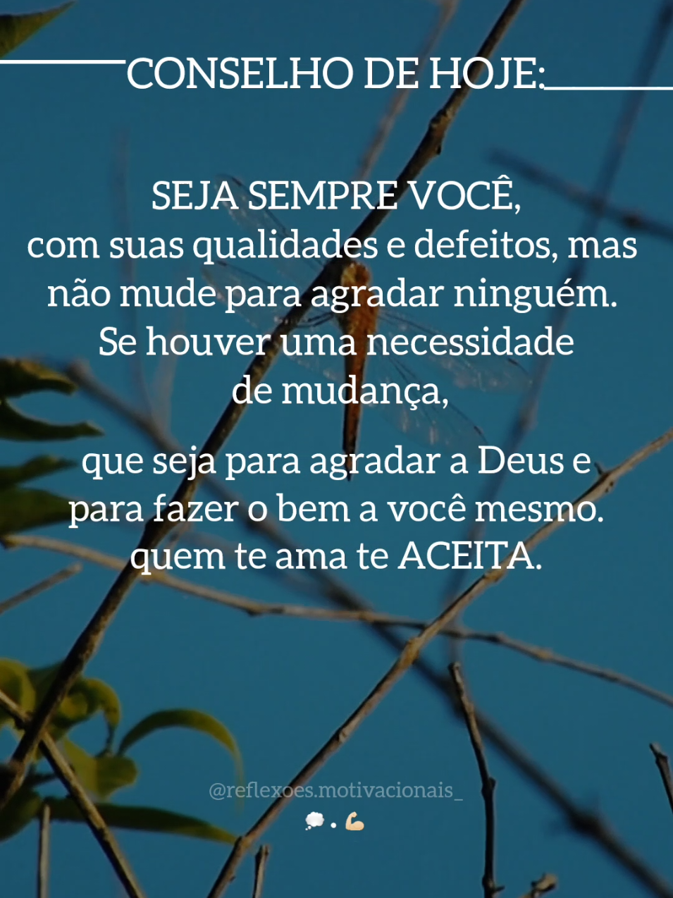 REFLEXÃO DE HOJE... 💭 #creatorsearchinsights #reflexão #reflexaododia #motivacao #frasesmotivadoras 