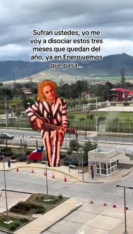 Que todo fluya que nada influya. 🙌🏻😂 #CapCut #parati #humor #findeaño #disociar 